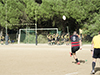 thumb_DSC_6416.jpg